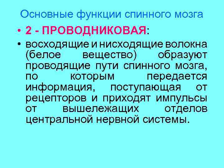 Основные функции спинного мозга • 2 - ПРОВОДНИКОВАЯ: • восходящие и нисходящие волокна (белое