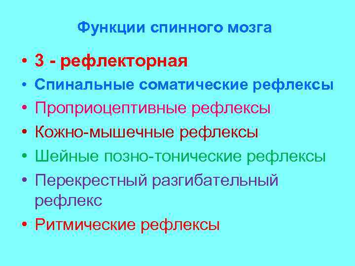 Функции спинного мозга • 3 - рефлекторная • Спинальные соматические рефлексы • Проприоцептивные рефлексы