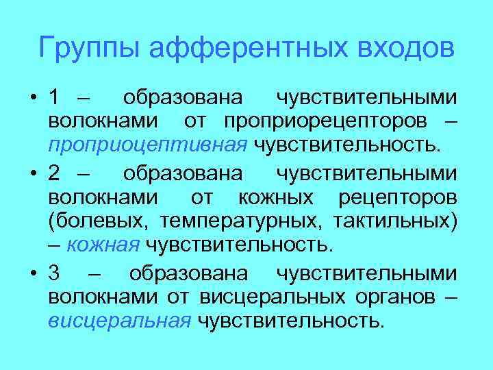 Группы афферентных входов • 1 – образована чувствительными волокнами от проприорецепторов – проприоцептивная чувствительность.