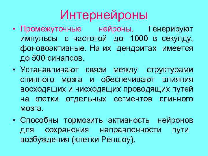 Интернейроны • Промежуточные нейроны. Генерируют импульсы с частотой до 1000 в секунду, фоновоактивные. На