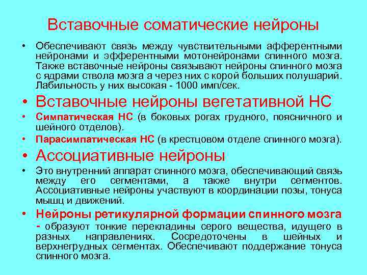 Вставочные соматические нейроны • Обеспечивают связь между чувствительными афферентными нейронами и эфферентными мотонейронами спинного