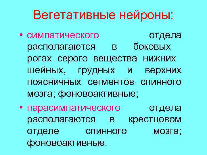 Вегетативные нейроны