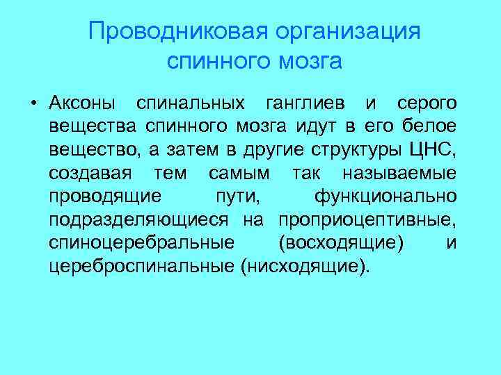 Проводниковая организация спинного мозга • Аксоны спинальных ганглиев и серого вещества спинного мозга идут