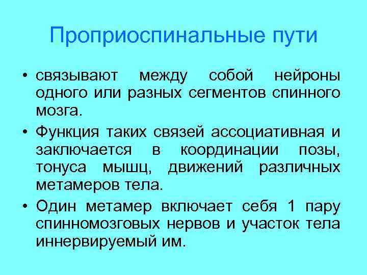 Проприоспинальные пути • связывают между собой нейроны одного или разных сегментов спинного мозга. •