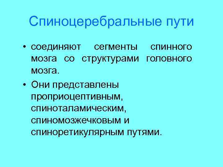 Пути соединены. Спиноцеребральный путь. Спиноцеребральные пути физиология. Спинно церебральные пути.