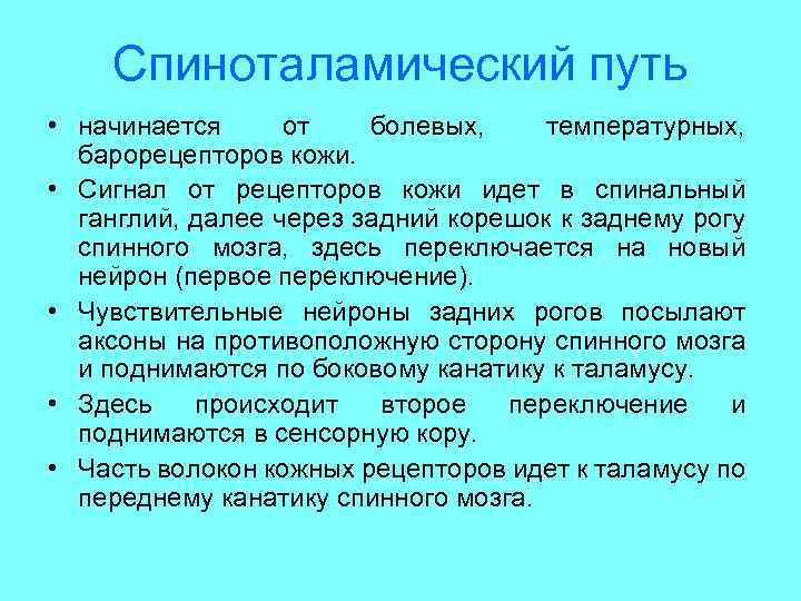 Спиноталамический путь • начинается от болевых, температурных, барорецепторов кожи. • Сигнал от рецепторов кожи