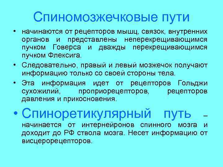 Спиномозжечковые пути • начинаются от рецепторов мышц, связок, внутренних органов и представлены неперекрещивающимся пучком