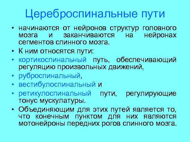 Цереброспинальные пути • начинаются от нейронов структур головного мозга и заканчиваются на нейронах сегментов