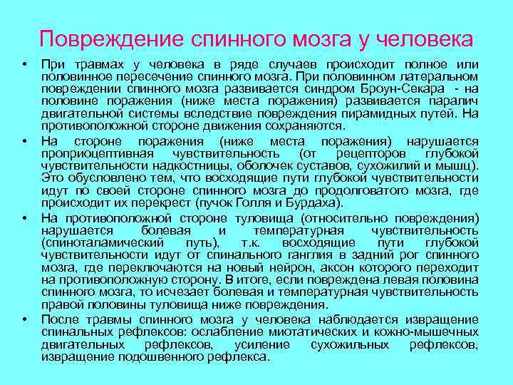 Повреждение спинного мозга у человека • • При травмах у человека в ряде случаев