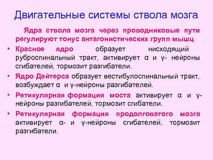 Двигательные системы ствола мозга • • Ядра ствола мозга через проводниковые пути регулируют тонус