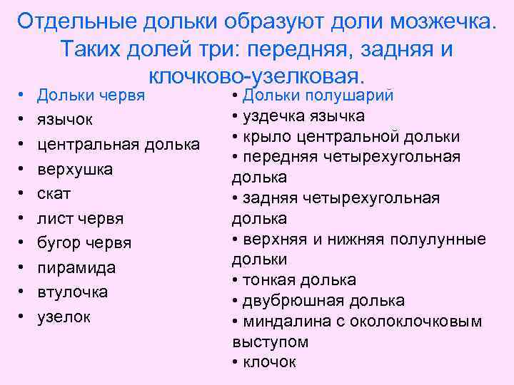 Отдельные дольки образуют доли мозжечка. Таких долей три: передняя, задняя и клочково-узелковая. • •