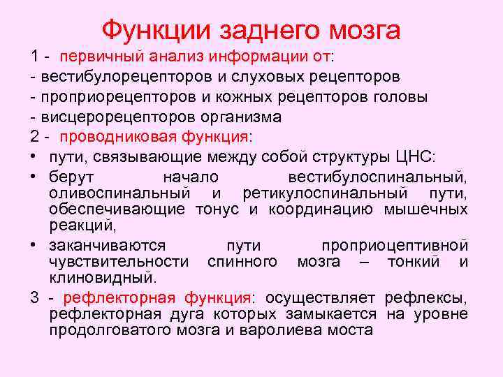 Функции заднего мозга 1 - первичный анализ информации от: - вестибулорецепторов и слуховых рецепторов