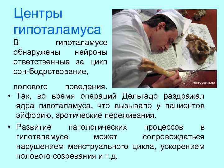 Центры гипоталамуса В гипоталамусе обнаружены нейроны ответственные за цикл сон-бодрствование, полового поведения. • Так,