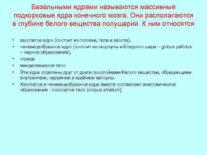 Базальными ядрами называются массивные подкорковые ядра конечного мозга. Они располагаются в глубине белого вещества