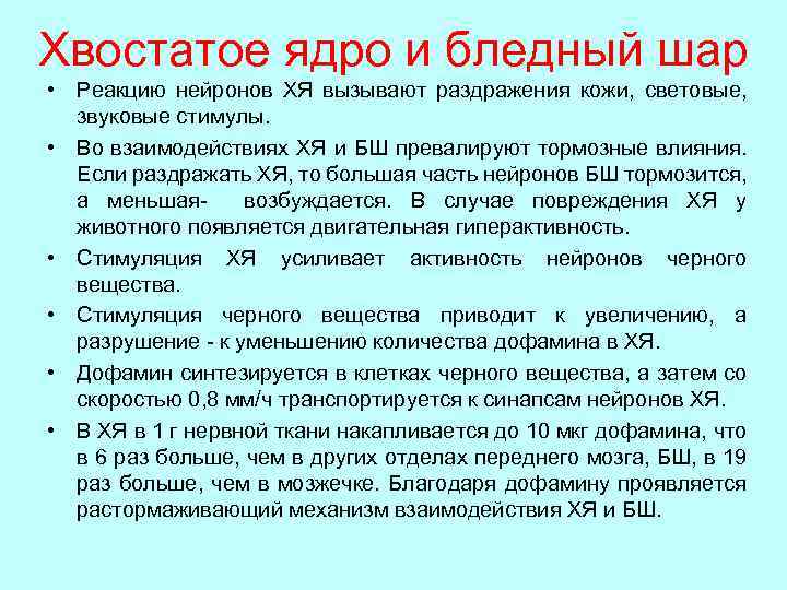 Хвостатое ядро и бледный шар • Реакцию нейронов ХЯ вызывают раздражения кожи, световые, звуковые