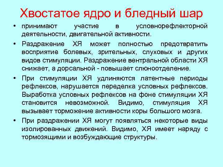 Хвостатое ядро и бледный шар • принимают участие в условнорефлекторной деятельности, двигательной активности. •