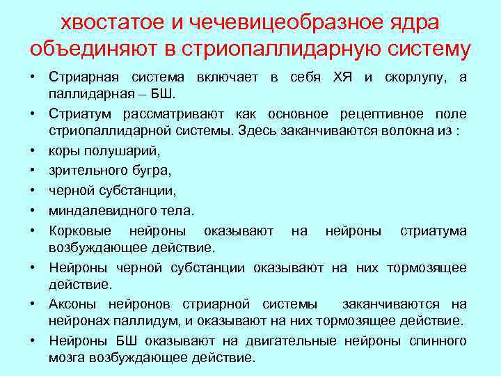 хвостатое и чечевицеобразное ядра объединяют в стриопаллидарную систему • Стриарная система включает в себя