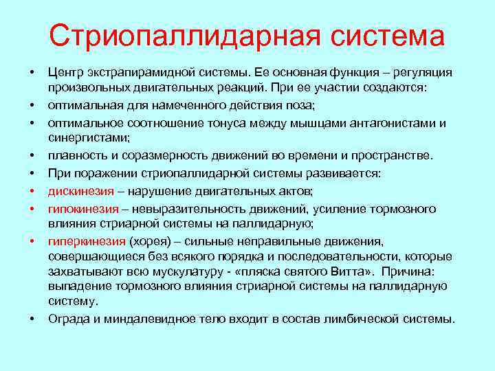 Стриопаллидарная система • • • Центр экстрапирамидной системы. Ее основная функция – регуляция произвольных