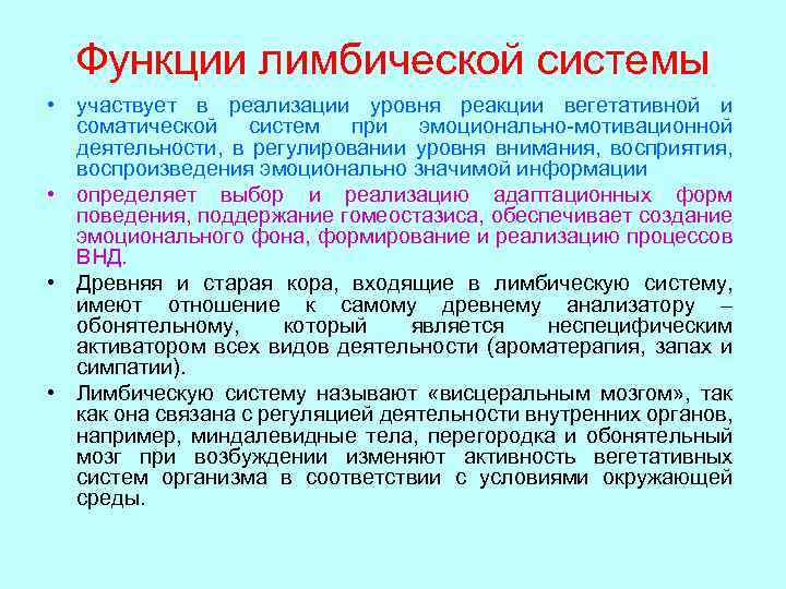 Функции лимбической системы • участвует в реализации уровня реакции вегетативной и соматической систем при