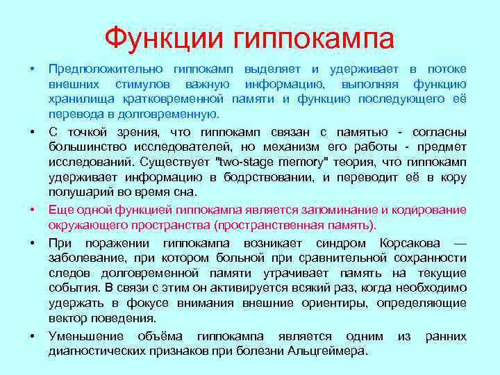 Функции гиппокампа • • • Предположительно гиппокамп выделяет и удерживает в потоке внешних стимулов