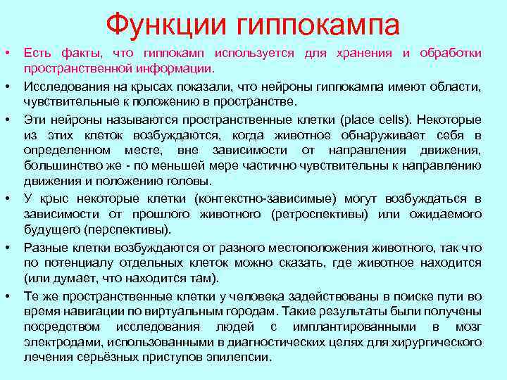 Функции гиппокампа • • • Есть факты, что гиппокамп используется для хранения и обработки