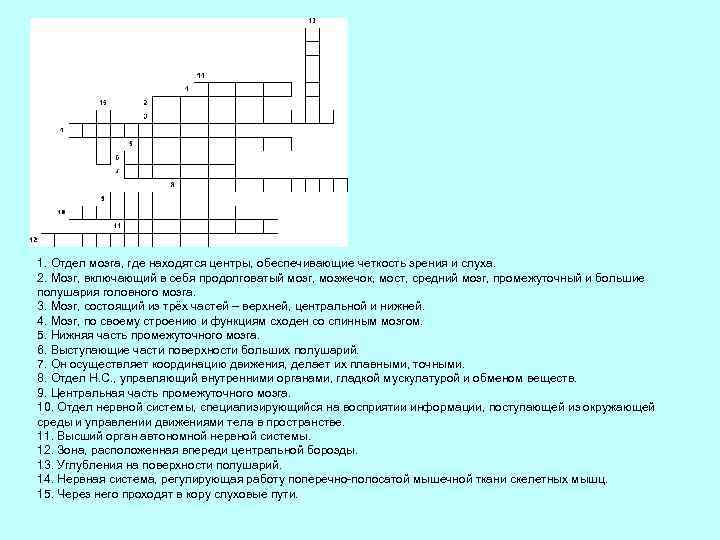 1. Отдел мозга, где находятся центры, обеспечивающие четкость зрения и слуха. 2. Мозг, включающий