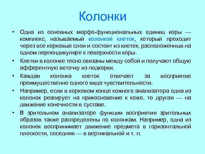 Колонки • Одна из основных морфо-функциональных единиц коры — комплекс, называемый колонкой клеток, который