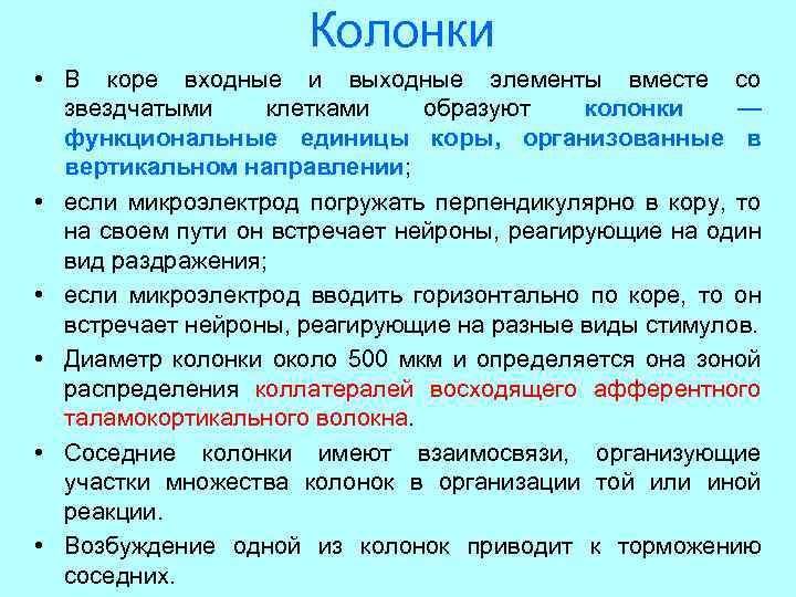 Колонки • В коре входные и выходные элементы вместе со звездчатыми клетками образуют колонки