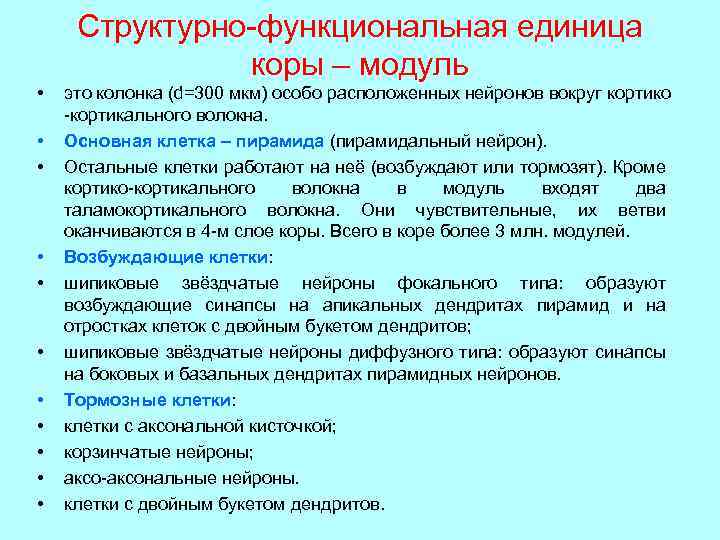 Структурно-функциональная единица коры – модуль • • • это колонка (d=300 мкм) особо расположенных