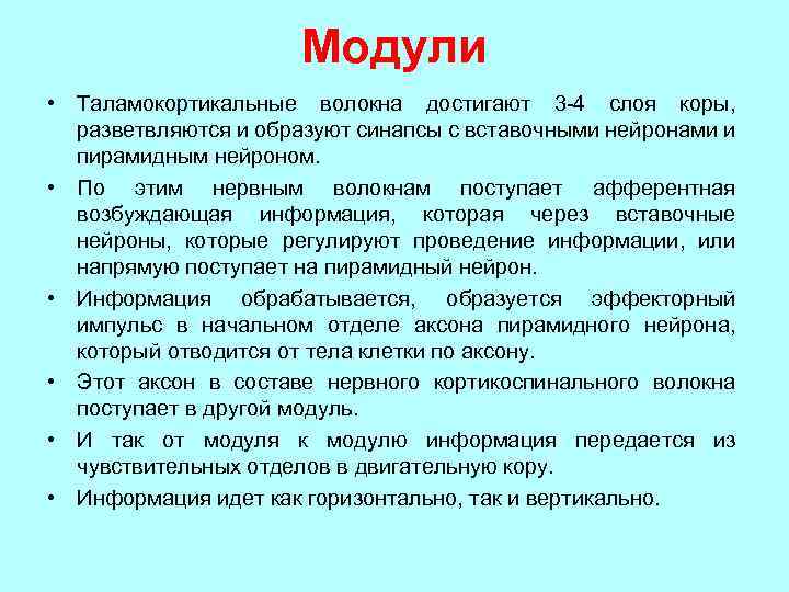 Модули • Таламокортикальные волокна достигают 3 -4 слоя коры, разветвляются и образуют синапсы с