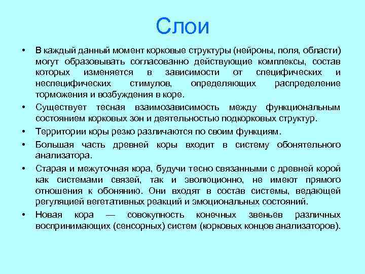 Слои • • • В каждый данный момент корковые структуры (нейроны, поля, области) могут