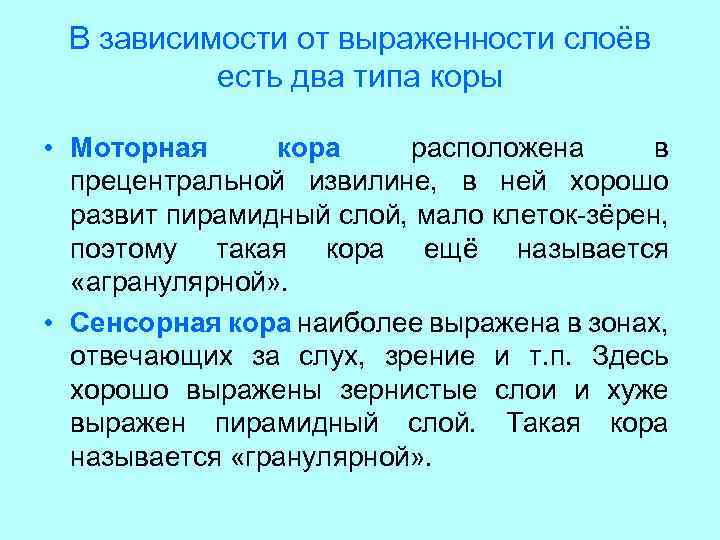 В зависимости от выраженности слоёв есть два типа коры • Моторная кора расположена в