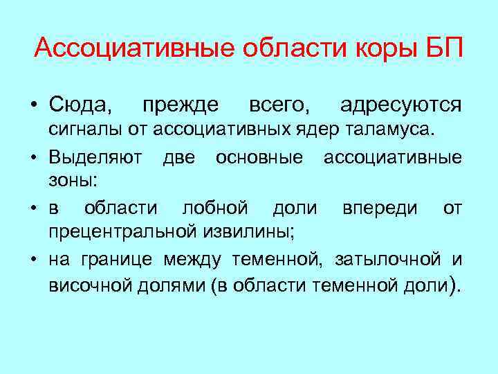 Ассоциативные области коры БП • Сюда, прежде всего, адресуются сигналы от ассоциативных ядер таламуса.