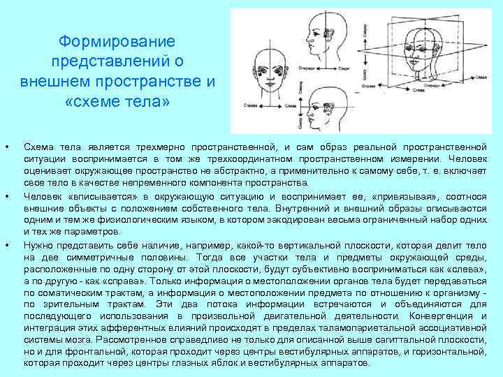 Нарушение схемы тела возникает при патологическом процессе в полушария