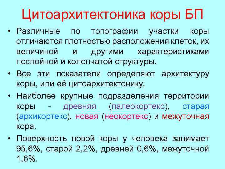 Цитоархитектоника коры БП • Различные по топографии участки коры отличаются плотностью расположения клеток, их