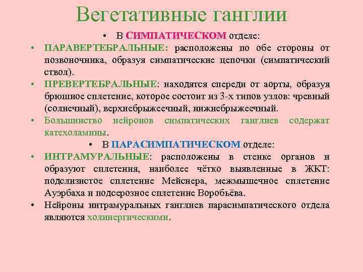 Вегетативные ганглии • • • В СИМПАТИЧЕСКОМ отделе: ПАРАВЕРТЕБРАЛЬНЫЕ: расположены по обе стороны от