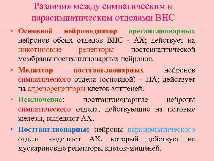 Различия между симпатическим и парасимпатическим отделами ВНС • Основной нейромедиатор преганглионарных нейронов обоих отделов