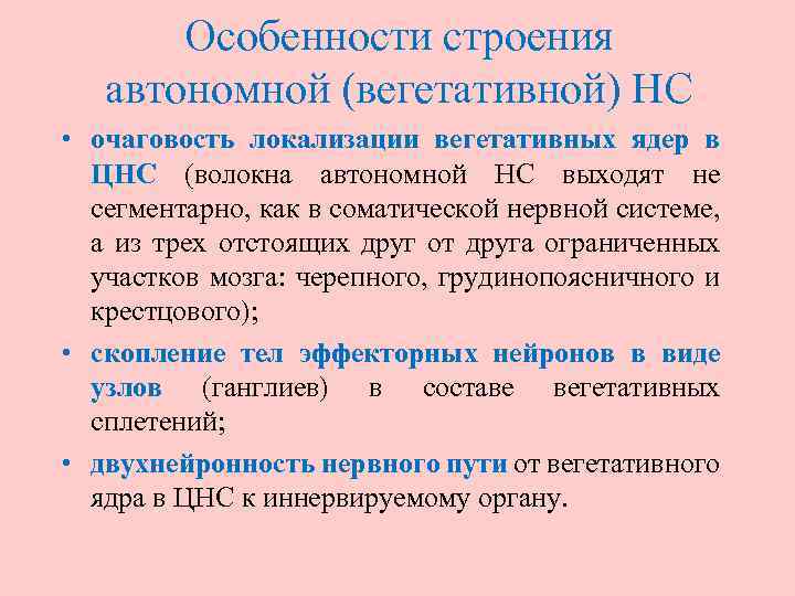 Особенности строения автономной (вегетативной) НС • очаговость локализации вегетативных ядер в ЦНС (волокна автономной