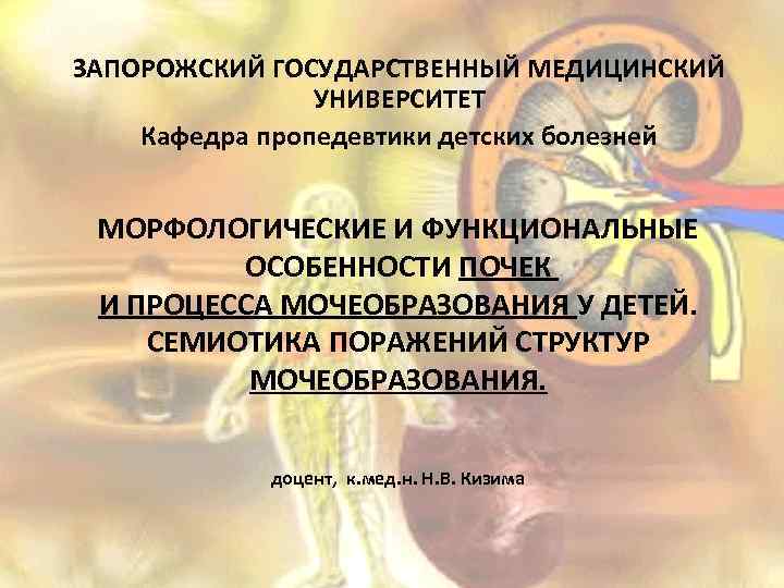 ЗАПОРОЖСКИЙ ГОСУДАРСТВЕННЫЙ МЕДИЦИНСКИЙ УНИВЕРСИТЕТ Кафедра пропедевтики детских болезней МОРФОЛОГИЧЕСКИЕ И ФУНКЦИОНАЛЬНЫЕ ОСОБЕННОСТИ ПОЧЕК И