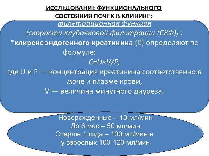 ИССЛЕДОВАНИЕ ФУНКЦИОНАЛЬНОГО СОСТОЯНИЯ ПОЧЕК В КЛИНИКЕ: фильтрационная функция (скорости клубочковой фильтрации (СКФ)) : *клиренс