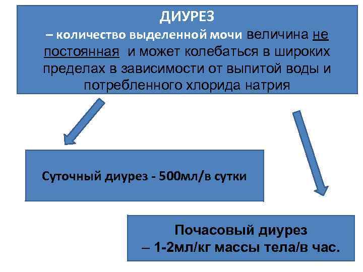 ДИУРЕЗ – количество выделенной мочи величина не постоянная и может колебаться в широких пределах