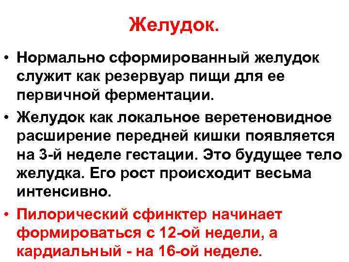 Желудок. • Нормально сформированный желудок служит как резервуар пищи для ее первичной ферментации. •