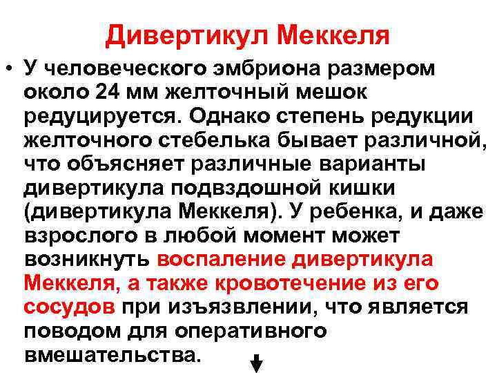Дивертикул Меккеля • У человеческого эмбриона размером около 24 мм желточный мешок редуцируется. Однако