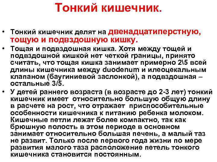 Тонкий кишечник. • Тонкий кишечник делят на двенадцатиперстную, тощую и подвздошную кишку. • Тощая
