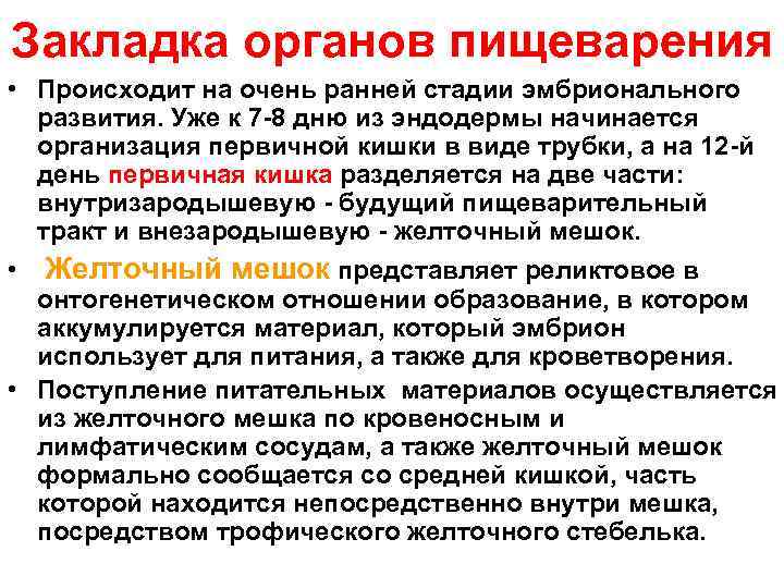 Закладка органов пищеварения • Происходит на очень ранней стадии эмбрионального развития. Уже к 7