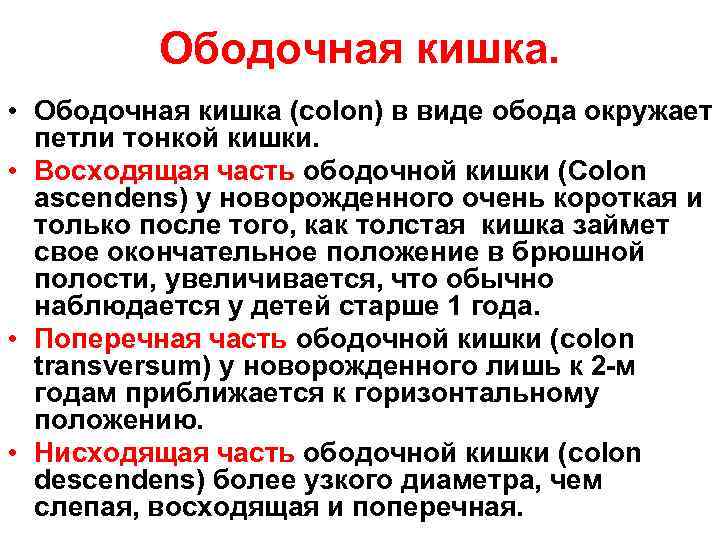 Ободочная кишка. • Ободочная кишка (colon) в виде обода окружает петли тонкой кишки. •