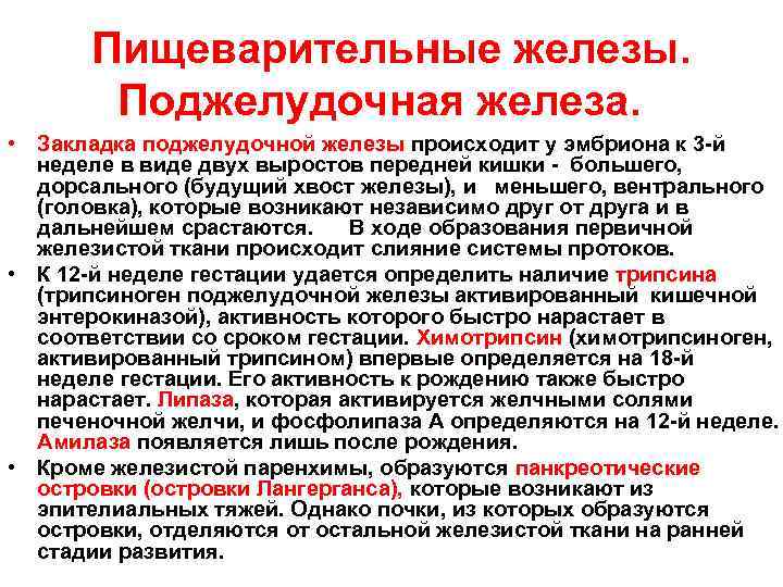 Пищеварительные железы. Поджелудочная железа. • Закладка поджелудочной железы происходит у эмбриона к 3 -й