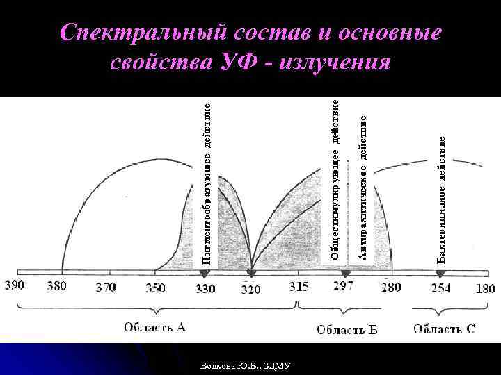 Спектральный состав и основные свойства УФ - излучения Волкова Ю. В. , ЗДМУ 