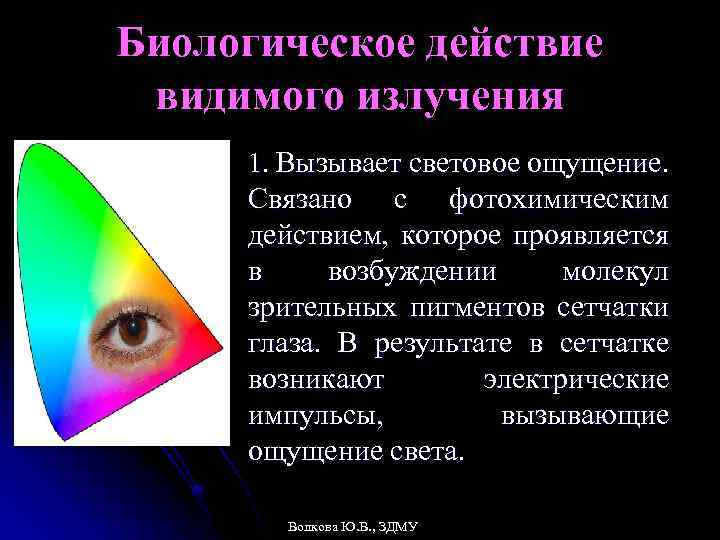 Биологическое действие видимого излучения 1. Вызывает световое ощущение. Связано с фотохимическим действием, которое проявляется