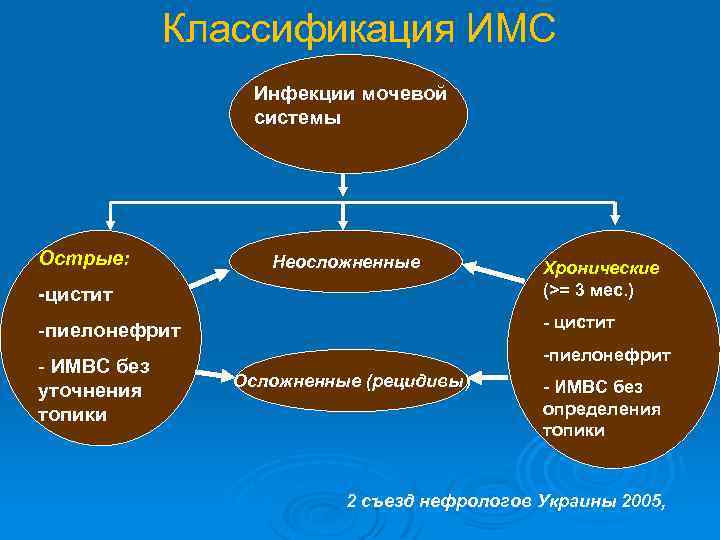 Классификация ИМС Инфекции мочевой системы Острые: Неосложненные -цистит -пиелонефрит - ИМВС без уточнения топики
